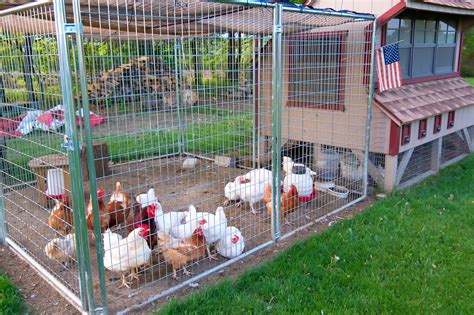 chicken metal mesh fabric|overhead netting for chicken coops.